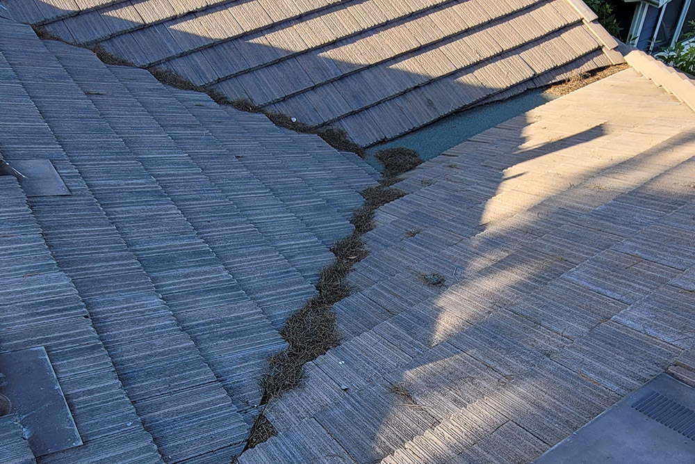 roof cleaning and repair rancho santa margarita mission viejo south oc